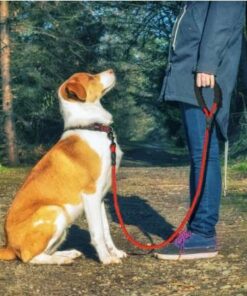 Reflective Dog Leash Nylon Leash Rope Walking Training